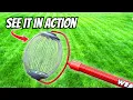 Acorn Collecting Made Easier with the Garden Weasel
