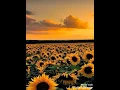 Chris Tomlin - Chase me down feat RaeLynn (tradução)