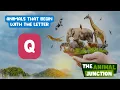 Animals That Start With Q The Animal Junction