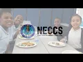 NECCS Enrollment
