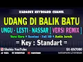Download Lagu UDANG DI BALIK BATU KARAOKE - UNGU - LESTI - NASSAR - REMIX