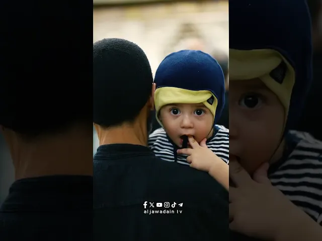 السلام على صاحب السكينة  السلام على المدفون بالمدينة