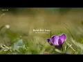 Download Lagu [호텔 델루나 Hotel Del Luna] BGM 모음 | Piano cover