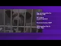 Memphis Animal Services needs dog fosters adopters immediately after distemper exposure