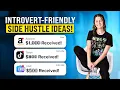 Want to Make Money as an Introvert High-Income Side Hustles for Anti-Influencers Megan Spencer