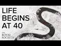 Download Lagu Life begins at 40: the biological and cultural roots of the midlife crisis | The Royal Society