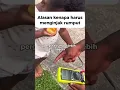 Download Lagu Kenapa kamu harus berjalan tanpa alas kaki di rumput