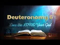 The Book of Deuteronomy Chapter 6 Love the LORD Your God NIV Bible