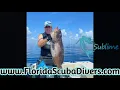 Diver Down Flag Required for your Vessel in Florida FloridaScubaDivers