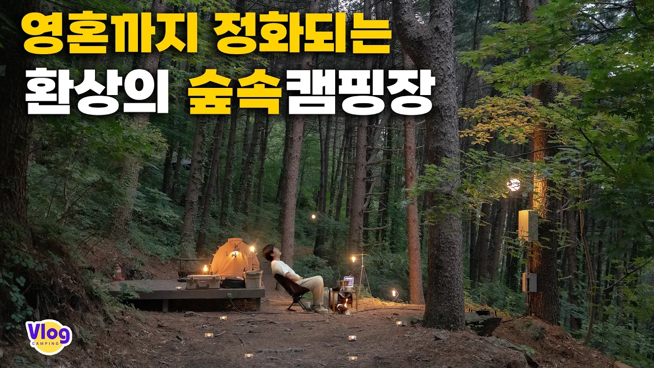 환상의 숲속캠핑장에서 영혼까지 정화되었습니다 썸네일