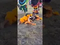 Download Lagu Mas dedeng raja kondang satu kali salto ndadi