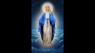 ترانيم والحان العدرا ستى ياعدرا نجينا 