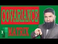 Excel Data Analysis Covariance Matrix