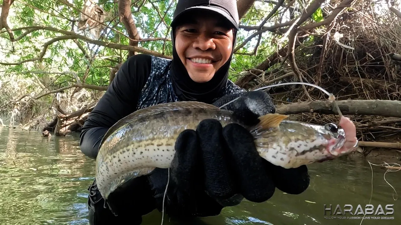 EP799-P1 - Panghuhuli ng Isda Gamit ang Lambo | Occ. Mindoro