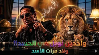    كوفر أغنية واخدين نوبل في الحسد   ولاد مرات الأسد  توزيع جديد                   دندنها