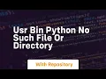 usr bin python no such file or directory