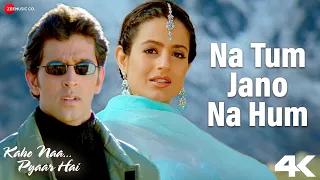 na tum jano na hum kaho naa pyaar hai hrithik roshan u0026 ameesha patel lucky ali rajesh roshan