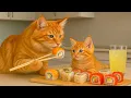 Download Lagu Mama Cat Trims Fur on the Farm and Makes Tiger Hat For Kittens At Home🐾🎩🐯