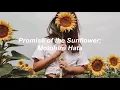 Promise of the Sunflower – Motohiro Hata (ひまわりの約束 Himawari no Yakusoku)