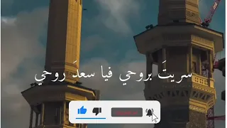 بدونك هذه الحياة فراغ وحدك من يستحق الحيآه فراس السليمي 