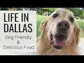 Life in Dallas at the CRI - Diverse Food and Dog Friendly