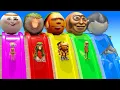 Download Lagu Long Slide Game With Cow Elephant Gorilla Hippopotamus Tiger 3d Animal Game Funny 3d Animals