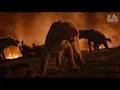 Download Lagu Lions Vs Hyenas    The Lion King   2019