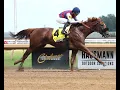 Igniter well ignites in 400K Ellis Park Derby