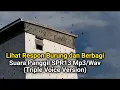 Download Lagu LIHAT RESPON SUARA WALET DAN SP SPR13 Mp3/Wav GRATIS