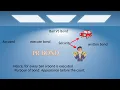 What is the difference between bail and a bond Bail Vs Bond