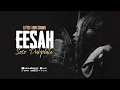 Eesah - Soso Remix - Dubplate - Little Lion Sound