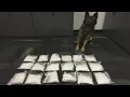 Porterville Police DEA bust large drug trafficking ring