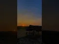 Download Lagu Murottal surah al munafiqun ayat 10 irama jiharkah #jiharkah#murottal#penenang_hati#pemandangan#best