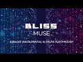 Download Lagu MUSE - BLISS (instrumental, karaoke, lyrics \u0026 virtual drum cover)
