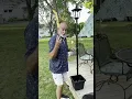 Solar Light Post With Planter
