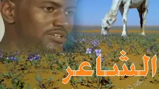 الشاعر فضل المولي بله ود اللعيسر 