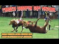 Download Lagu Tragedi Karapan Sapi Madura, Babak Pertama Lomba Karapan Sapi Ajang Silaturahmi Di Lap Asemanis. 