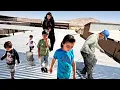 Download Lagu Taybeh Farm; Completion of the roof and slowing down of the farm's progress