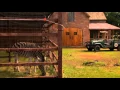 Download Lagu Wild At Heart S04E10
