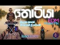 Lagu Thotiya (තොටියා) | Dilena Ahase  (දිලෙනා අහසේ) | EDM House Mix | RANAACHI