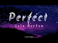 Download Lagu Cole Norton - Perfect - (Lyrics Chill) Songs💘🎶