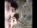 Debbie s Dream Nails and other things