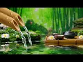 Download Lagu Deep Healing Sleep Music 🌿 Calming Music and Nature Sounds, Eliminate Stress, Anxiety and Depression