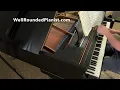 HAYDN: Gypsy Rondo (arr. from Piano Trio No. 39 in G major) | Cory Hall, pianist