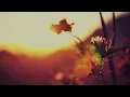 Jon Hopkins - Campfire