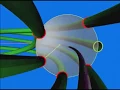 Torus Knot
