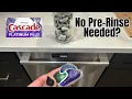 Best Dishwasher Pods Cascade Platinum Plus Review