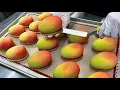 Awesome cake quality making mango mousse cake - Korean dessert