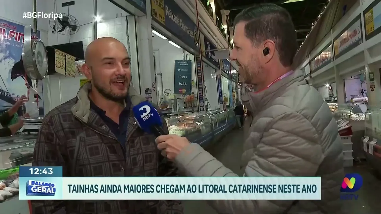 Tainhas maiores chegam ao litoral catarinense em 2024