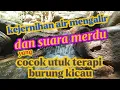 Download Lagu kejernihan sungai dan bebatuan yang asri, suara mengalir cocok untuk terapi otak dan terapi burung